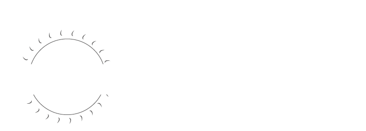logo littéral vs conceptuel.png